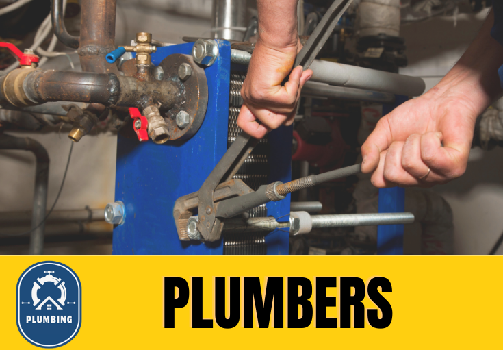  plumber Twydall